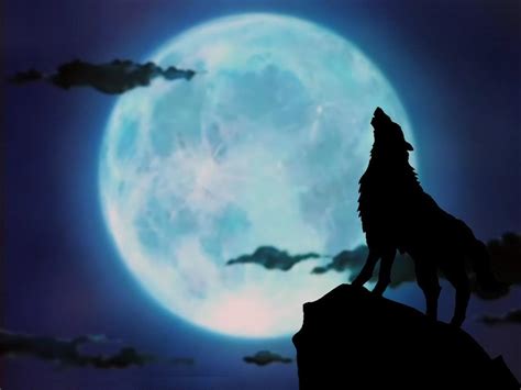 Anime Wolf Howling Wallpapers Wallpaper Cave