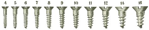 How To Describe A Wood Screw