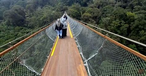 Liburan Ke Bandung Cek 5 Tempat Wisata Ciwidey Instagramable Nomor 5 Jembatan Gantung