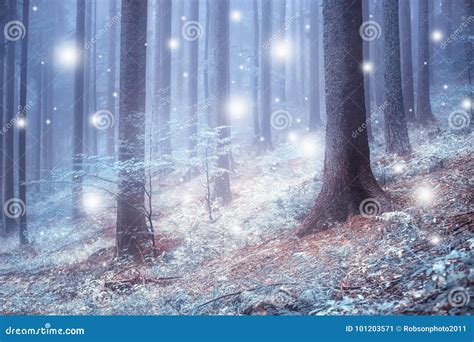 Soft Blue Foggy Forest With Abstract Snowfall Stock Image Image Of