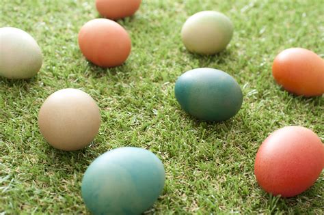 Colorful homemade dyed Easter eggs on grass Creative Commons Stock Image