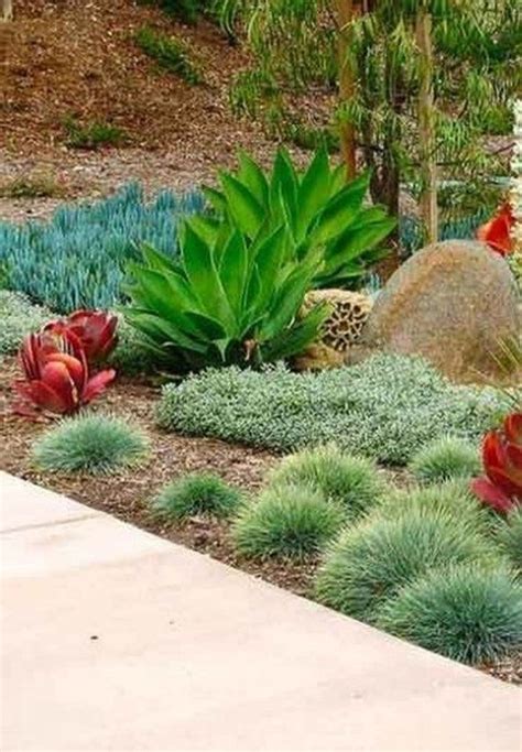 Affordable Low Water Garden Landscapes Design Ideas That Looks Amazing