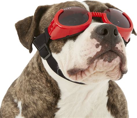 Doggles Ils Dog Goggles Red Large
