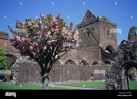 Sweetheart Abbey New Abbey Dumfries And Galloway Scotland Uk In