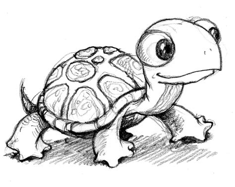 Turtle Picture By Coolemogirl321 Drawingnow