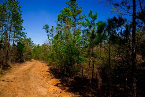 Online Land Hub - Owner Financed Land For Sale