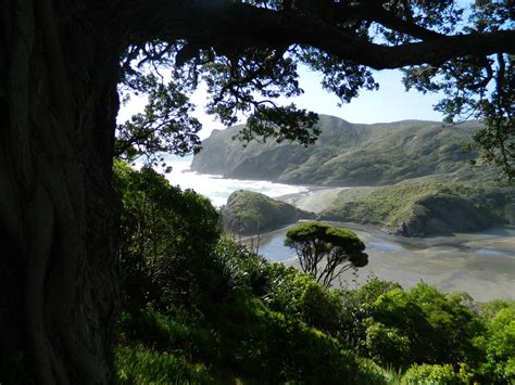 Scenic West Coast Nz Free Stock Photo Public Domain Pictures