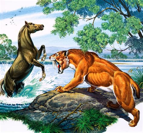 Prehistoric Animals By Bernard Long At The Illustration Art Gallery