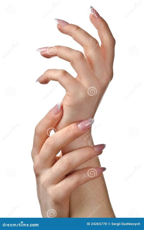 Female Hands Beauty Set Stock Photo Image Of Female 24265770