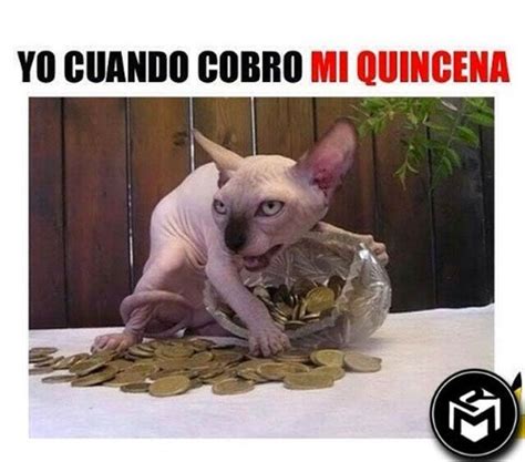 Anses cuando cobro el salario. Cuando cobro mi salario (con imágenes) | Memes divertidos ...