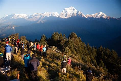 In der schule waren lynn, olivia und nika unzertrennlich. Am Poon Hill ist man nicht allein. - Fotos hikr.org