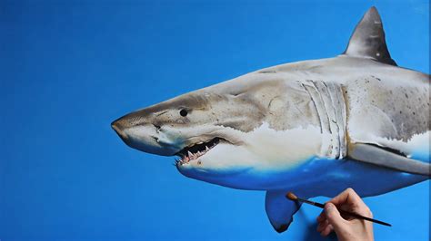 Shark Oil Painting On Canvas 3d Art Youtube