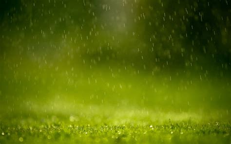 Rain Against Blurred Grass Macro Zwz Picture