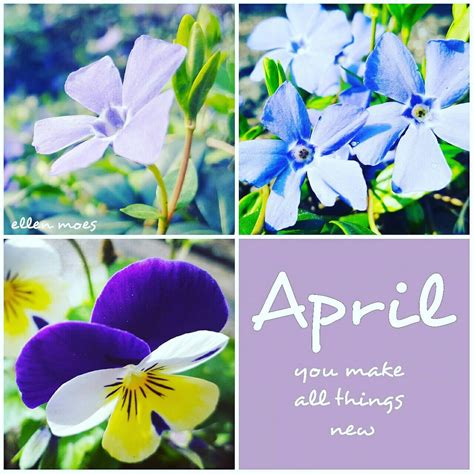 Fall flowers are the best of both worlds. Seasons April quote flowers | Flower quotes, April quotes ...