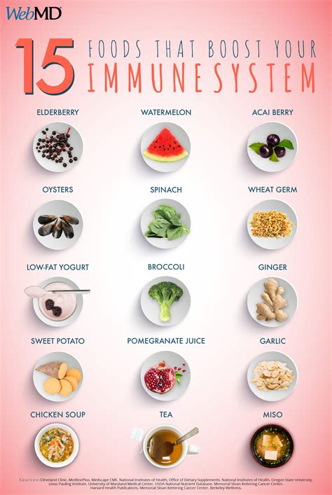 10 foods that will help build immunity 15 Foods That Boost Your Immune System How will you ...