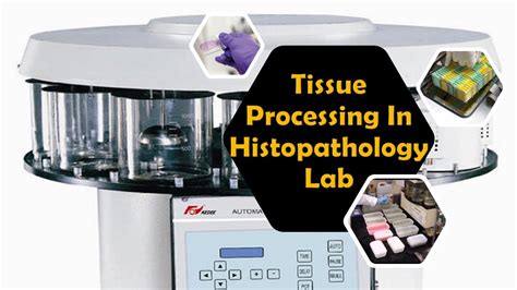 Tissue Processing Histopathology E Learn With Zakir Youtube