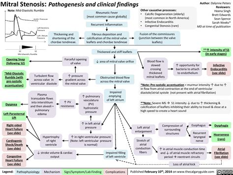 Mitral Stenosis Pathogenesis And Clinical Findings Calgary Guide Stenosis Medical School