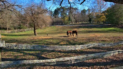 Virginia, or officially, the commonwealth of virginia, offers a wide range of drug and alcohol abuse virginia rehab programs. 2 Best Rehab Centers In Williamsburg, VA - Addiction Resource