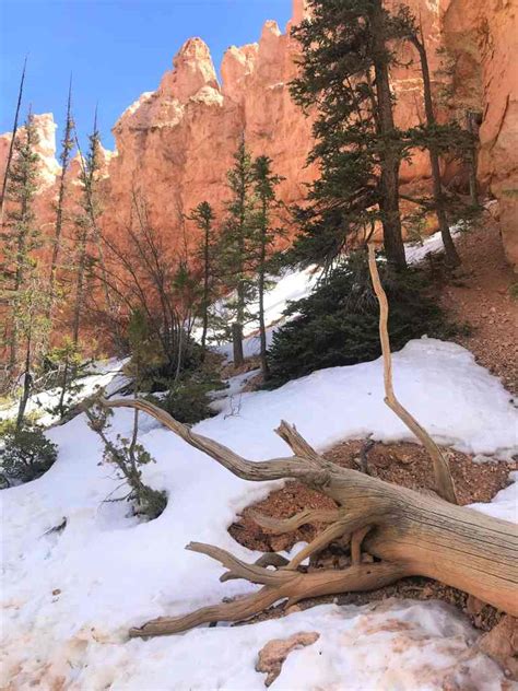 Things To Do In Bryce Canyon National Park Travel And Hike With Pcos