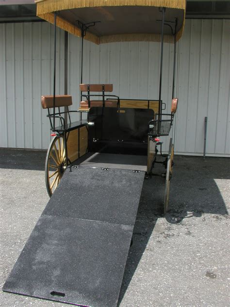 Wheelchair Accessible Carriage Carriage Driving Essentials