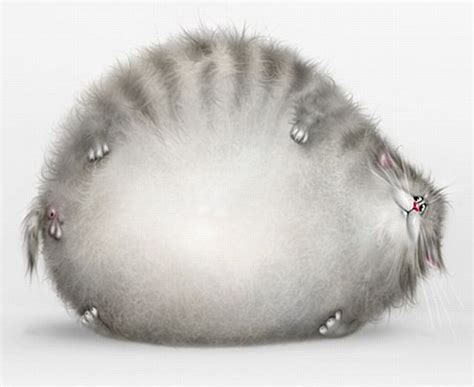 Submit your clip, if chosen, get paid! Funny cat drawings (24 pics) - Izismile.com
