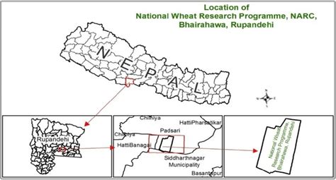 Location Of National Wheat Research Program Nwrp Bhairahawa Nepal
