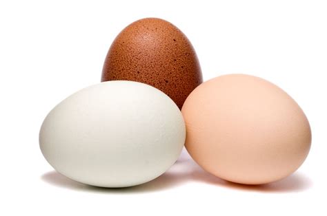 Check spelling or type a new query. Ciri-Ciri Telur Ayam Negeri dan Bedanya Dengan Telur ...