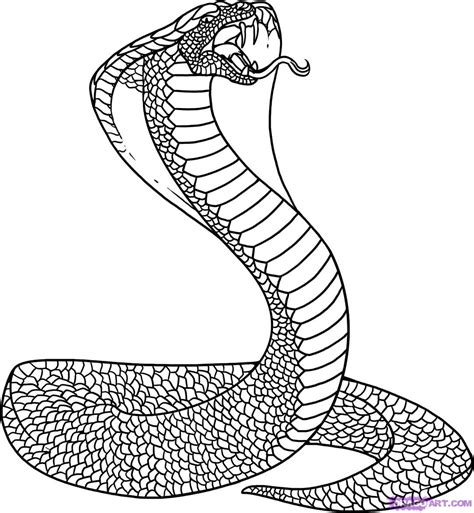 king cobra snake coloring pages - Clip Art Library