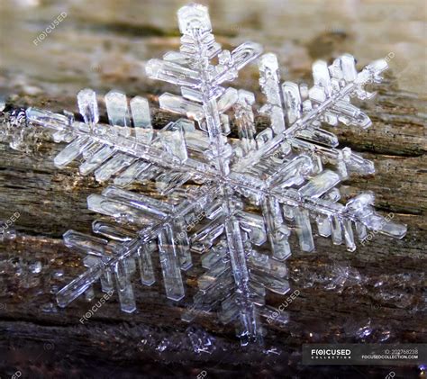 Hexagonal Frozen Crystal Formed From Hoar Frost — Beauty In Nature Day