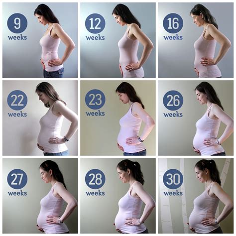 List Images Average Size Of Pregnant Belly At Months Stunning
