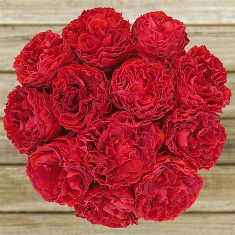 Hannah Gardens On Twitter Bulk Flowers Online Rose Wholesale Roses