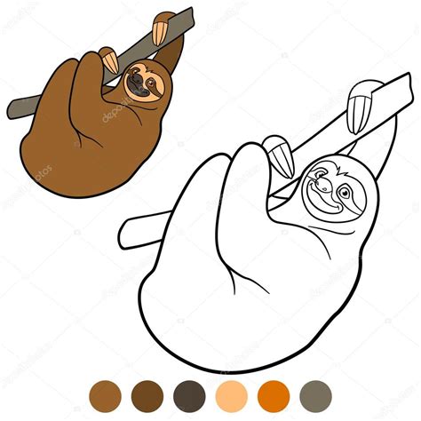 Cómo dibujar a un perezoso. Dibujos: oso perezoso para colorear | Página para colorear ...