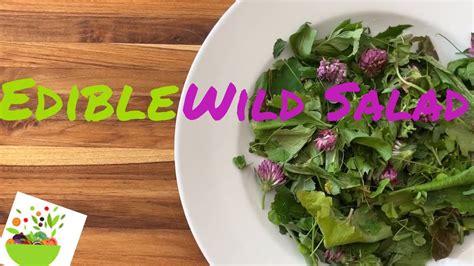 Edible Wild Salad Foraging Edible Wilds Youtube