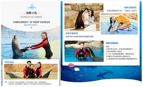 2020 China Cetacean Alliance Investigation Into Sanya Atlantis Hotel