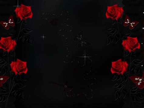 Black And Red Rose Wallpapers Top Free Black And Red Rose Backgrounds