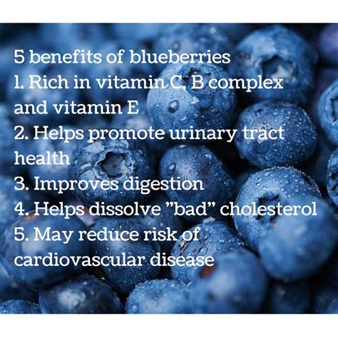 Benefits Of Eating Blueberries Blueberry Health Health Info