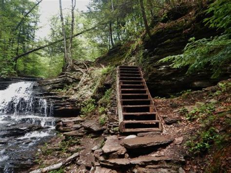 See 59 traveler reviews, 56 candid photos, and great deals for ricketts glen state park campground, ranked #1 of 5 specialty lodging in benton and rated 4 of 5 at tripadvisor. Benton Tourism: Best of Benton, PA - TripAdvisor