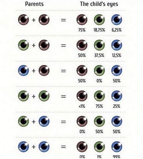 Guide On Eye Color Rcoolguides