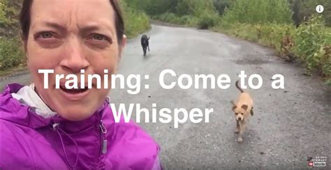 How To Train Your Dog To Come To A Whisper Pt 1 Of 3 Dog Training
