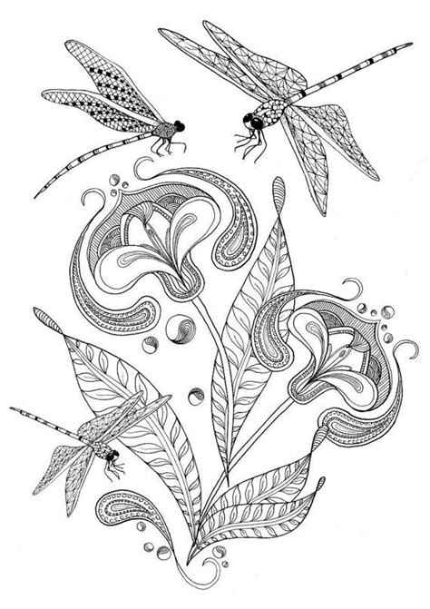 736 x 952 file type: Adult colouring pages of dragonfly and flower illustration ...