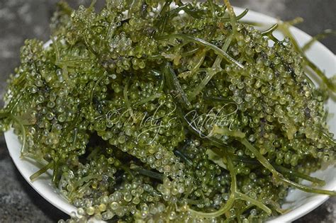 Melys Kitchen Lato Salad Grape Seaweed Salad