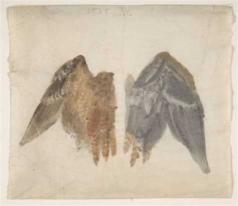 In The Manner Of Albrecht Dürer Bitterns Wings Study Showing Both