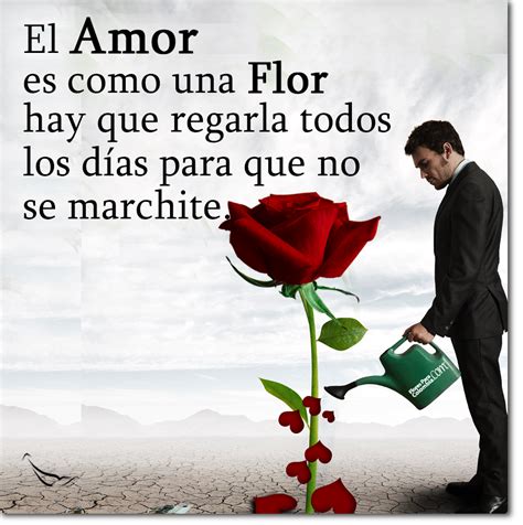 El Amor Es Como Una Flor Life Experience Quotes Love Quotes For Him