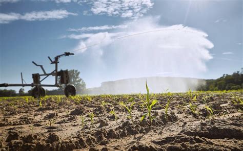 Water scarcity involves water crisis, water shortage, water deficit or water stress. How Water Scarcity Impacts Farm Productivity - MSFAgriculture