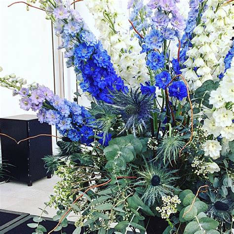 Delphinium plants are striking in the back of the border, in cottage gardens, or as accent plants. Delphiniums, thistles and eucalyptus | Delphinium ...