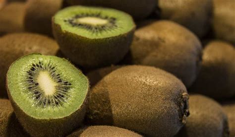 Buying The Latest Types Of Kiwi Fruit Products From The Most Reliable Brands In The World Arad