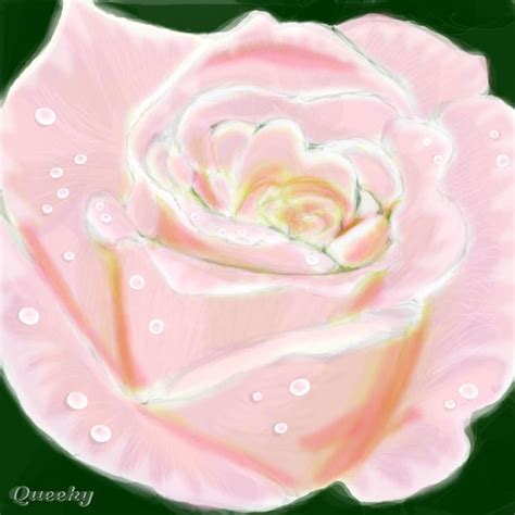 Pink Rose ← A Plants Speedpaint Drawing By Kay14 Queeky Draw And Paint
