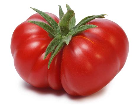 Beefsteak Tomato Plant Height