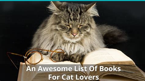 The Best List Of Awesome Books For Cat Lovers