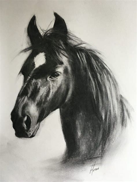 50 Charcoal Horse Drawing Ideas Easy Charcoal Drawings Horse Drawing